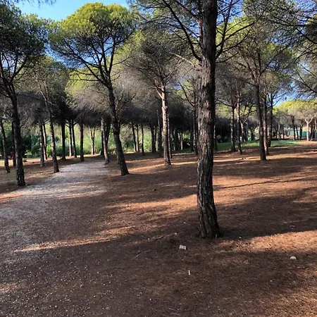 Апартаменти In El Presidente Side New Golden Mile *