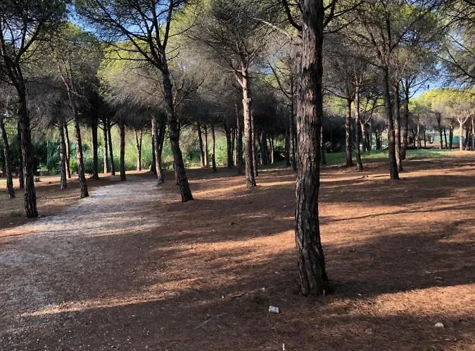 Appartement In El Presidente Side New Golden Mile *